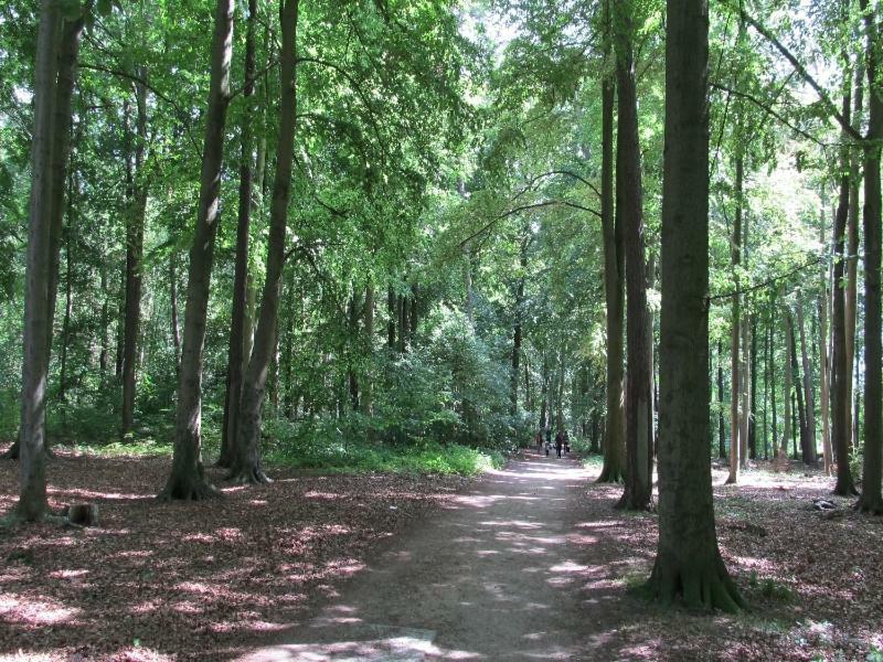 “Haus Am Kuestenwald” Ferienwohnungen กราล-มือริทซ์ ภายนอก รูปภาพ
